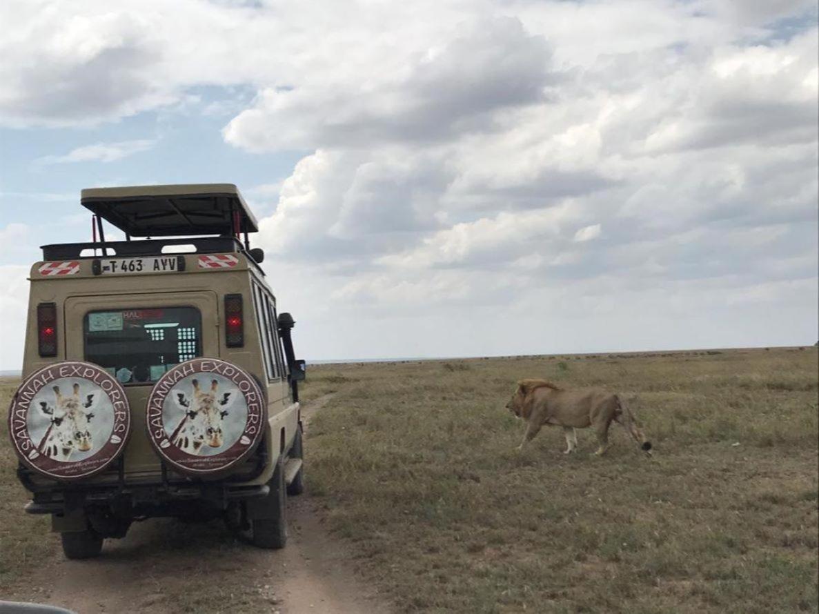 Serengeti Kifaru Tented Lodge Mugumu Exterior photo