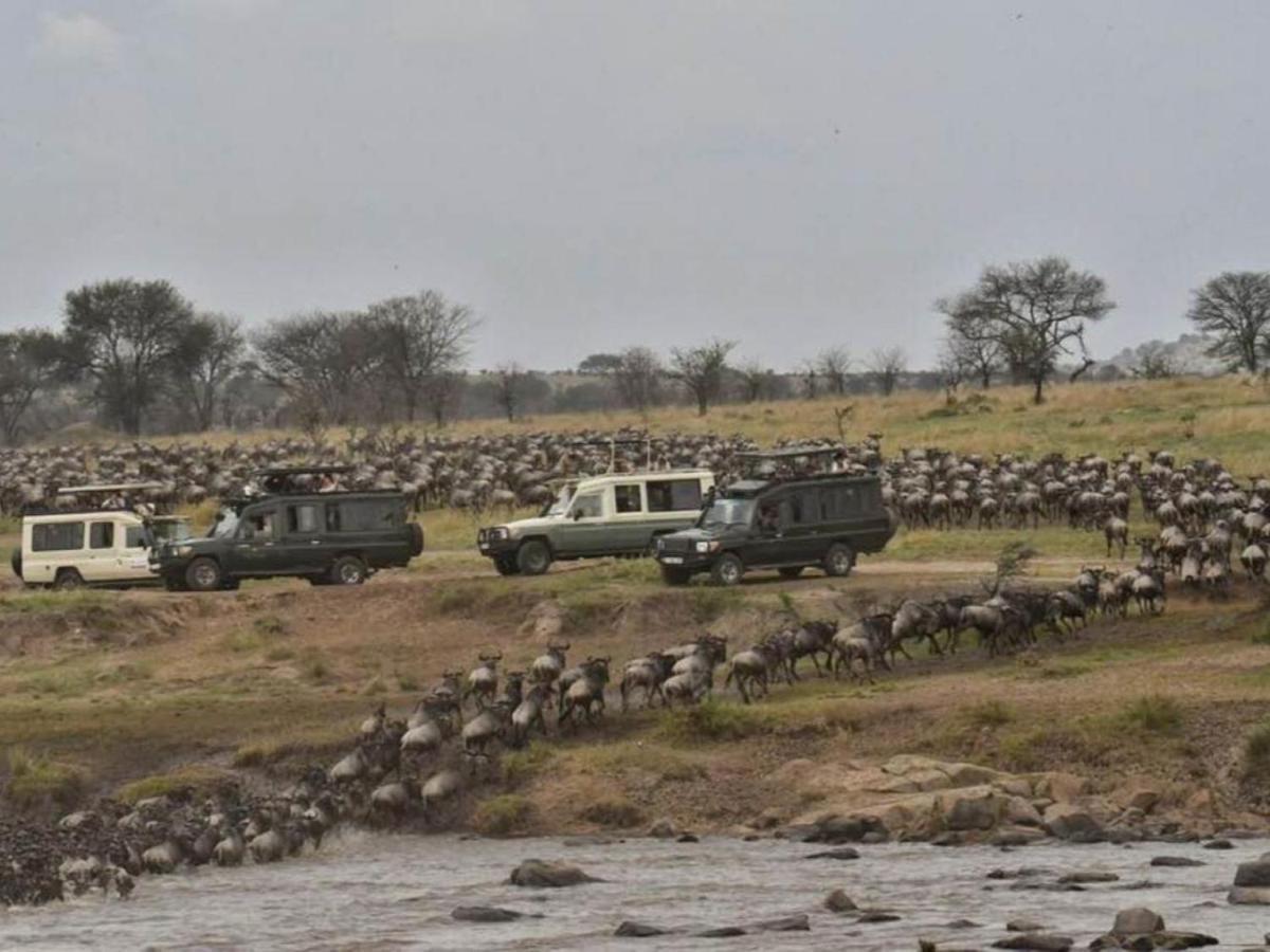 Serengeti Kifaru Tented Lodge Mugumu Exterior photo