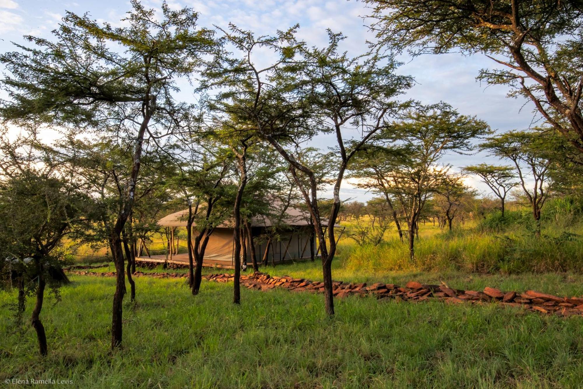 Serengeti Kifaru Tented Lodge Mugumu Exterior photo
